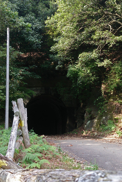 神奈川県厚木市鐘ヶ嶽 山神隧道 8 写真共有サイト フォト蔵