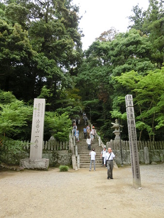 CIMG0166