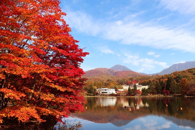 紅葉の蓼科湖 照片共享頁面 攝影藏