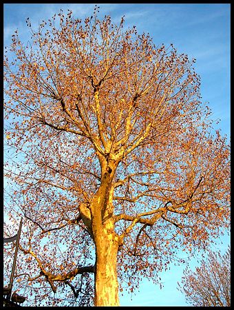 P2300593