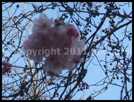 P2660512