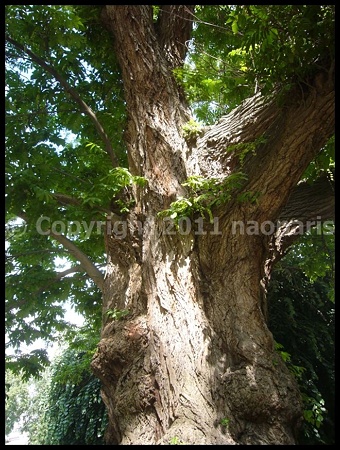 P2720508