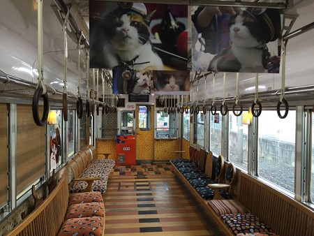 20151109たま電車(4)