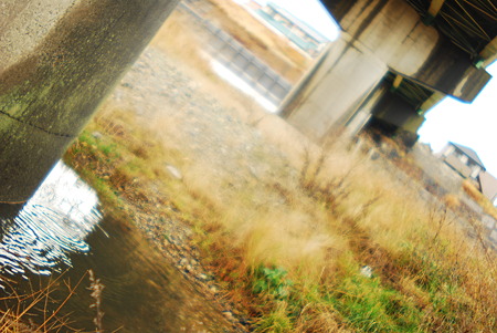 River after the rain.