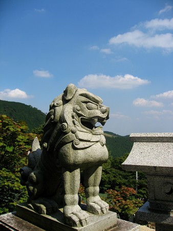 阿夫利神社の狛犬
