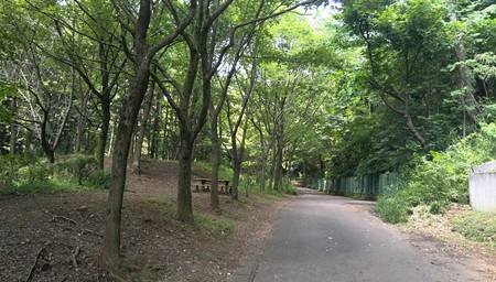 トトロの森 3号地