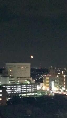 月が大きかったなあ。
