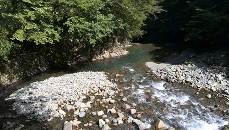 水まで緑に