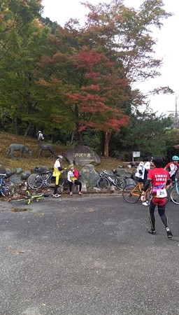 IMG_20151101_102309