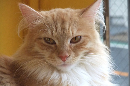2010031002