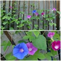 Photos: 2014081405