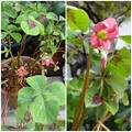 Photos: 2014081407