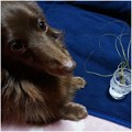 Photos: 2016011604