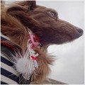 Photos: 2016030203