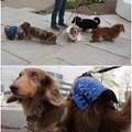 Photos: 2016042311