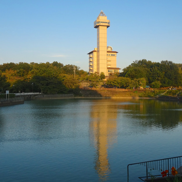 城山公園 No - 38:夕暮れ時の長池とスカイワードあさひ