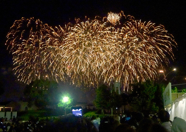 名港水上芸術花火 2015 No - 23