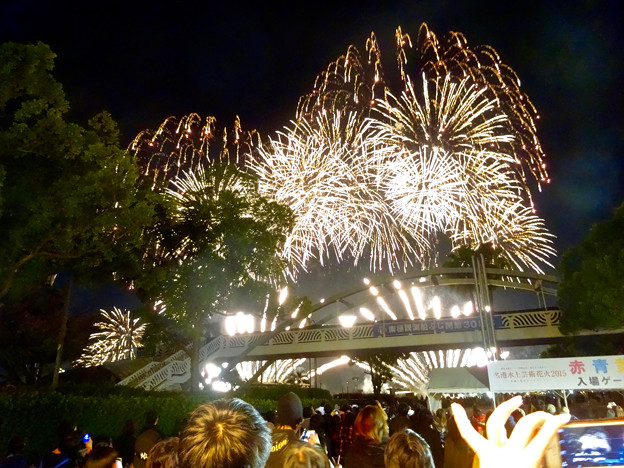 名港水上芸術花火 2015 No - 59