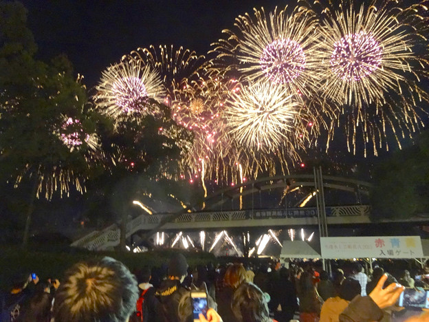 名港水上芸術花火 2015 No - 60