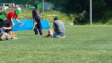 20140914_103953
