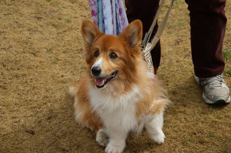 DSC05419