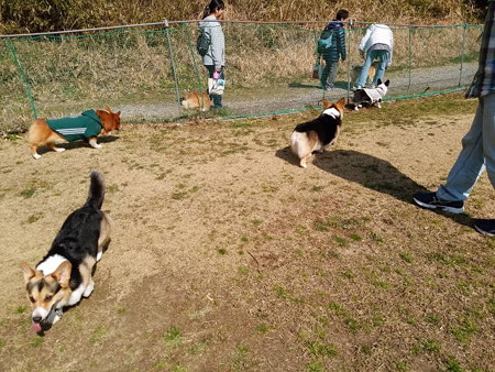 IMG_20160228_110204