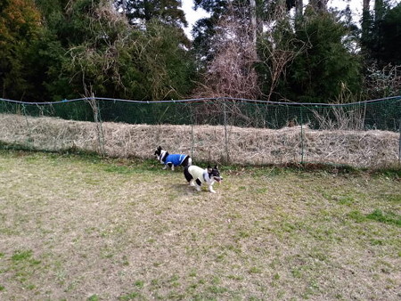 IMG_20160228_135521