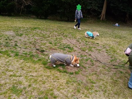 IMG_20160306_114514