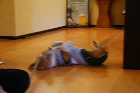 DSC03117