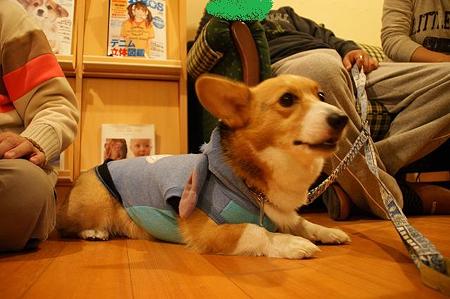 DSC03198