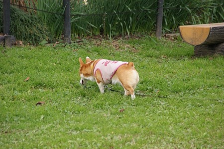 DSC04000