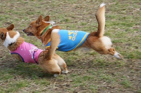 DSC04700