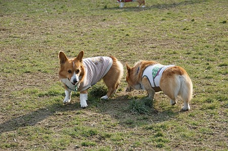 DSC04723