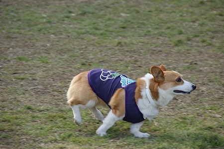 DSC04744