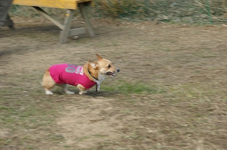 DSC04746
