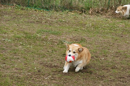 DSC04800