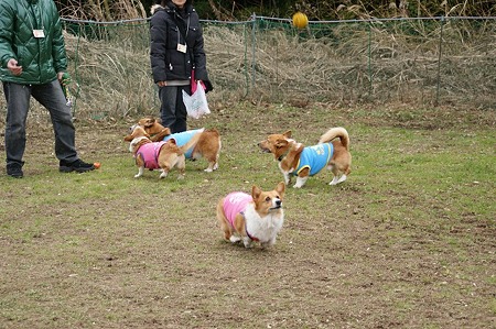 DSC04869