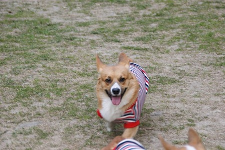 DSC05002