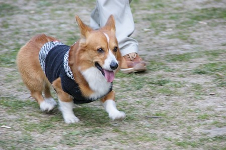 DSC05004