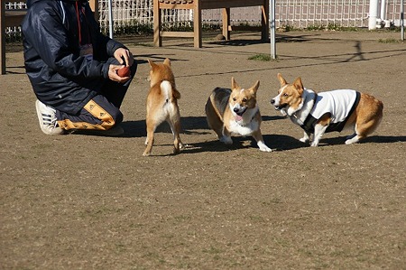 DSC05504