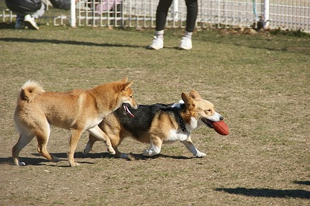 DSC05508