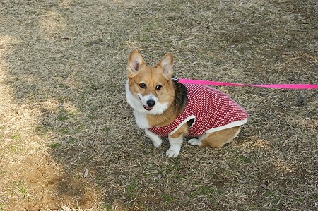 DSC05671