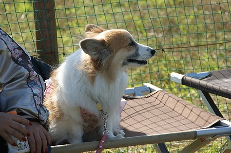 DSC04866