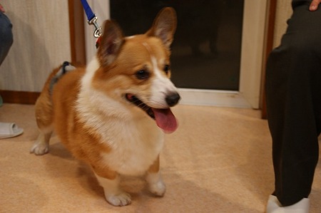 DSC05261