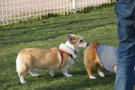 DSC06701