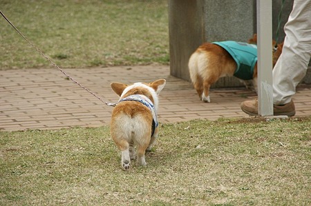 DSC09161
