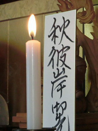 CIMG1716