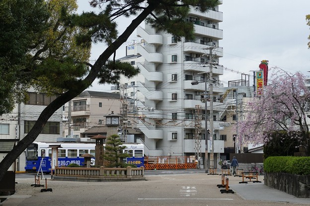 住吉大社 阪堺電気軌道 桜 写真共有サイト フォト蔵