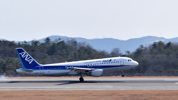 ANA エアバスA320-211（JA8654）-6