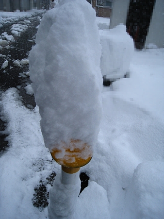 今日は雪降ったぁ
